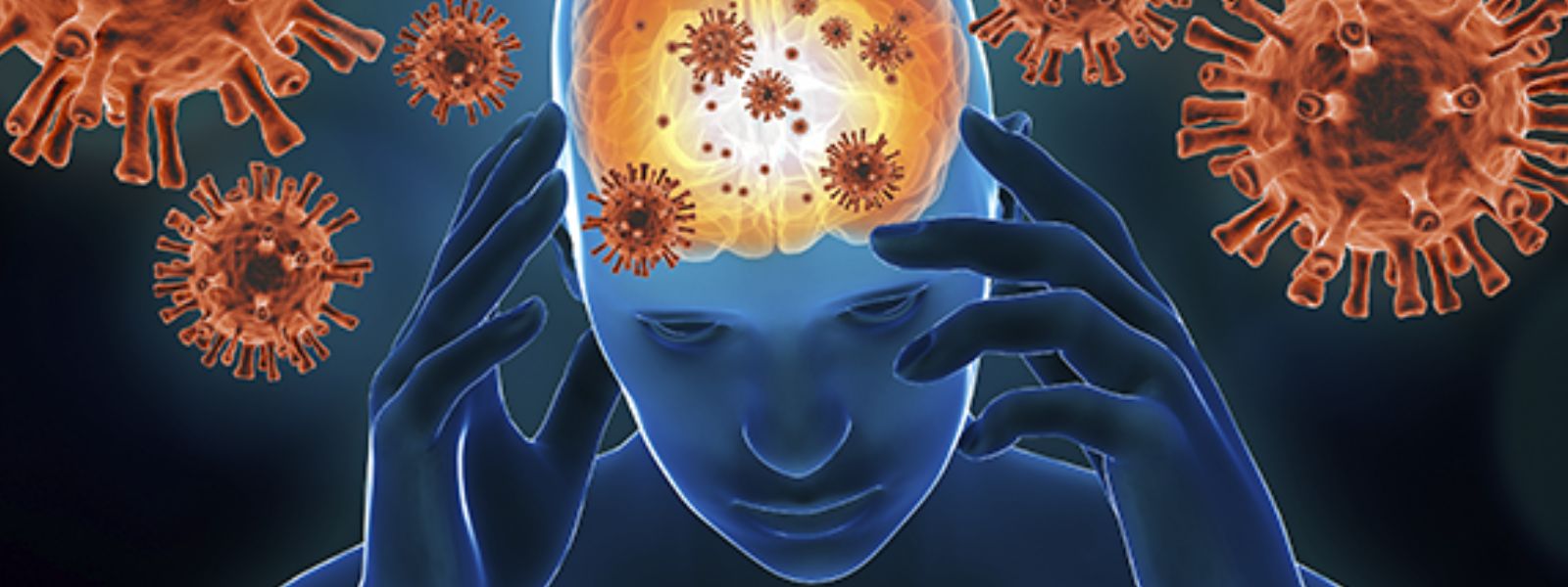 116 Suspected Meningitis Cases Reported